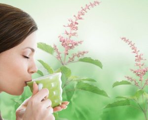 Drink Water with Basil Leaves