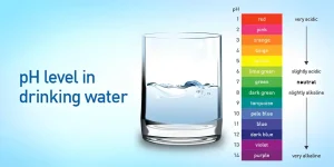 Drinking more water will help to maintain a balanced pH level, which will result in healthy skin.