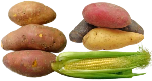 List of -Starchy -Vegetables