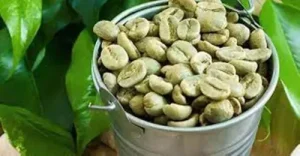 Nutritional Value of -Green Coffee