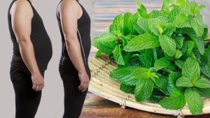 Can help- with losing -weight.