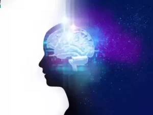 Mint- leaves-Enhanced- Brain- Activity