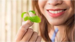 Mint-leaves-Helps Maintain- Oral -Health