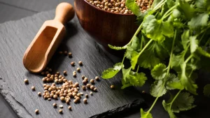 Nutritional- Value of Coriander