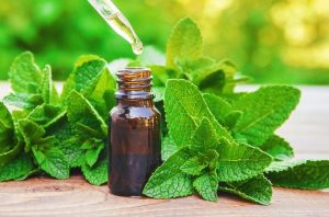 Reduces- nausea and morning -sickness