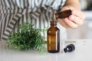 Repels -Some -Bugs-with-rosemary-oil