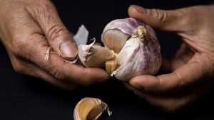 Tips for- eating -raw- garlic