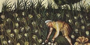 background of_______ garlic